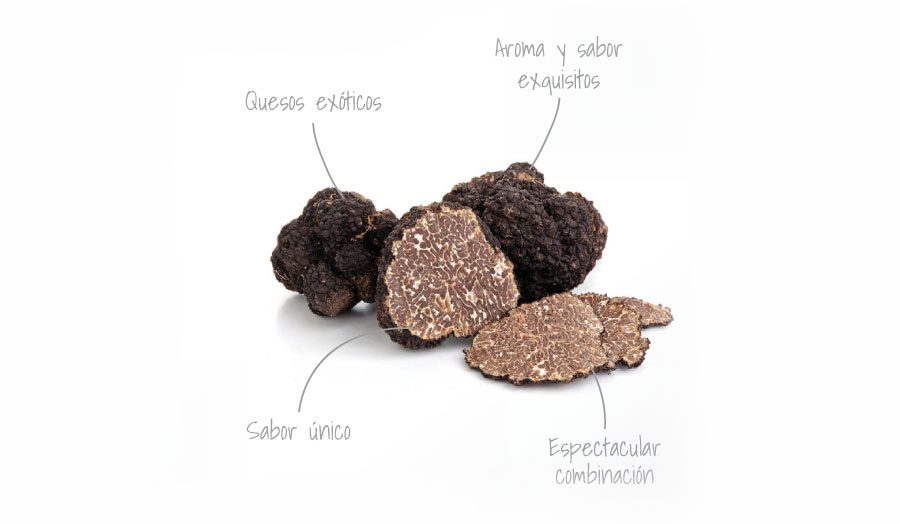 Brebis D'Or-cheeses-with-truffle